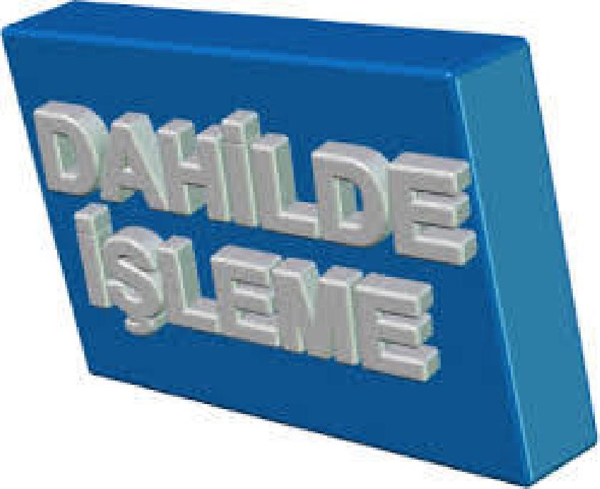 DAHILDE İŞLEME İZIN BELGESI STATÜLERINE İLIŞKIN SISTEM DÜZENLEM